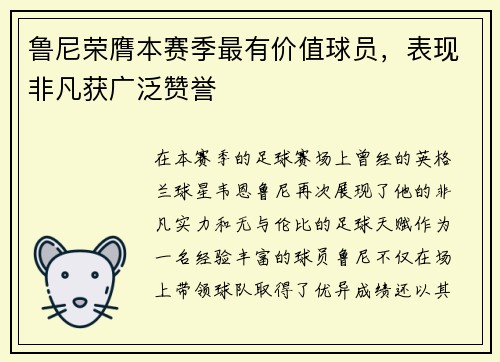 鲁尼荣膺本赛季最有价值球员，表现非凡获广泛赞誉